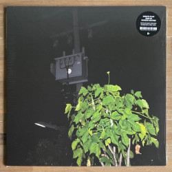Виниловая пластинка Giuseppe Lelasi - Down On Darkened Meetings