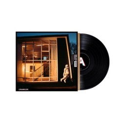 Виниловая пластинка Idles - Crawler (2022)