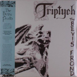 Виниловая пластинка The Bevis Frond - Triptych