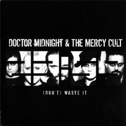 Виниловая пластинка Doctor Midnight &amp; The Mercy Cult - (Don'T) Waste It