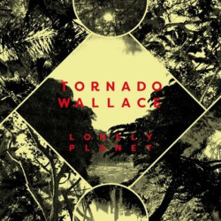 Виниловая пластинка Tornado Wallace - Lonely Planet (LP)