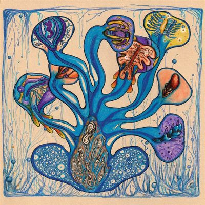 Виниловая пластинка Houeida Hedfi - Fleuves de l’Âme