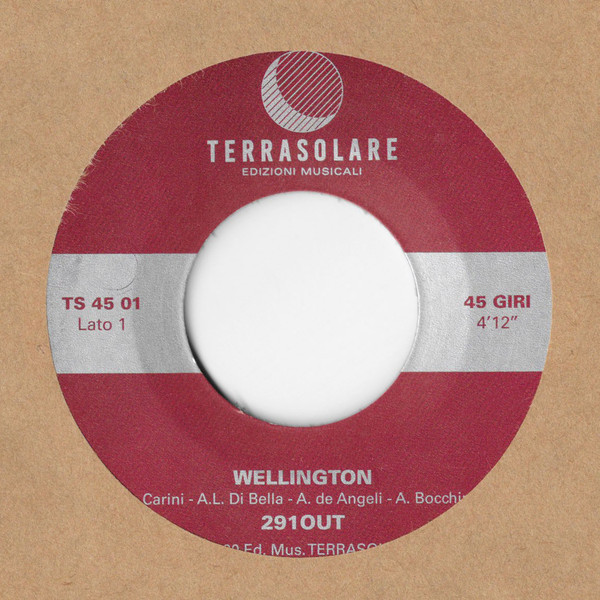 Виниловая пластинка 291Out - Wellington
