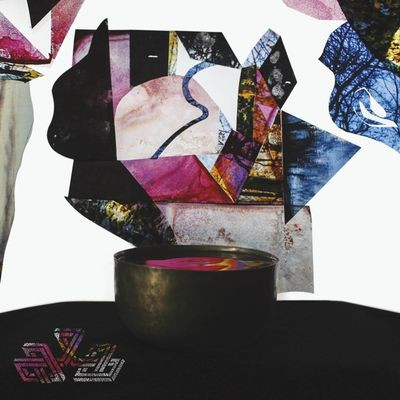 Виниловая пластинка Mind Over Mirrors - Undying Color