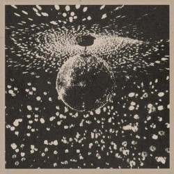 Виниловая пластинка Neil Young - Mirror Ball