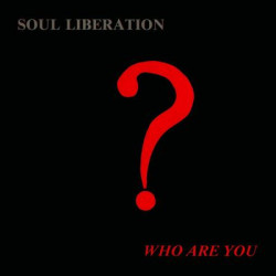 Виниловая пластинка Soul Liberation - Who Are You?