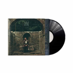 Виниловая пластинка Kennedy, Dermot - The Weight of the Woods