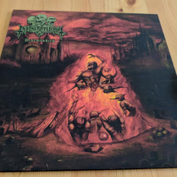 Виниловая пластинка Insineratehymn - Disembodied