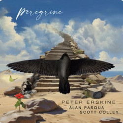 Виниловая пластинка Peter Erskine &amp; Alan Pasqua &amp; Scott Colley - Peregrine (Black Ultra Vinyl 140G)