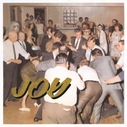 Виниловая пластинка Idles - Joy As An Act Of Resistance. (США и Канада)
