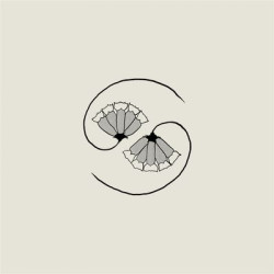 Виниловая пластинка Godspeed You! Black Emperor - G_D'S Pee At State'S End!