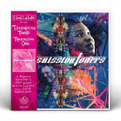 Виниловая пластинка Transmission Towers - Transmission One