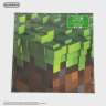 Виниловая пластинка США C418 - Minecraft Volume Alpha (LP) Green