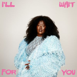 Виниловая пластинка Nnavy - I'Ll Wait For You (LP)