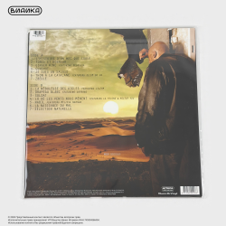 Виниловая пластинка Nessbeal - Sélection Naturelle (LP) Silver